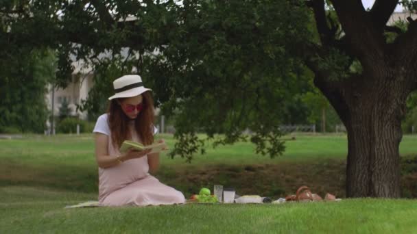 Menina sentada no parque lendo um livro em um dia ventoso — Vídeo de Stock