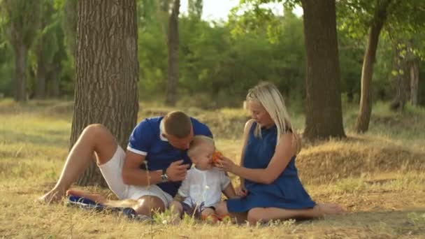 Gelukkig gezin picknicken buiten — Stockvideo