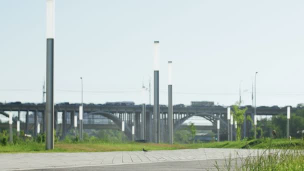 Schöne Skaterin im Freien genießen — Stockvideo