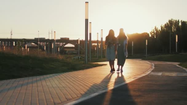 Duas mulheres Hipster vão para a câmera no parque durante o pôr do sol — Vídeo de Stock