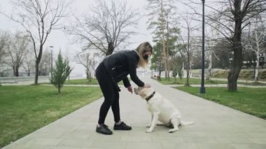 Siyah maskeli bir kadın, karantina Coronavirus COVID-19 pandemisi sırasında labrador köpeğiyle parkta oynuyor.