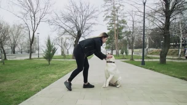 Retriever labrador szczęśliwy pies z kobietą bawiącą się w parku na zewnątrz — Wideo stockowe