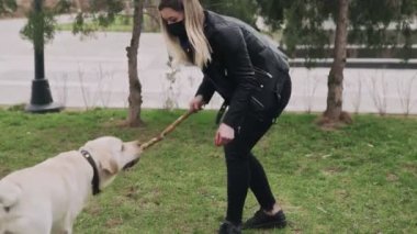 Siyah maskeli çekici bir kadın 2019-2020 Coronavirus karantinası sırasında labrador köpeğiyle parkta oynuyor.
