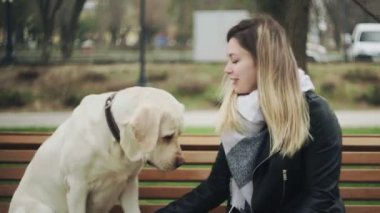 Çekici kadın, av köpeği Labrador 'la oturur. Mutlu köpek kenarda oturur ve telefonda konuşur.