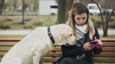 Çekici kadın, av köpeğiyle bankta oturur ve şehir parkında telefon kullanır.