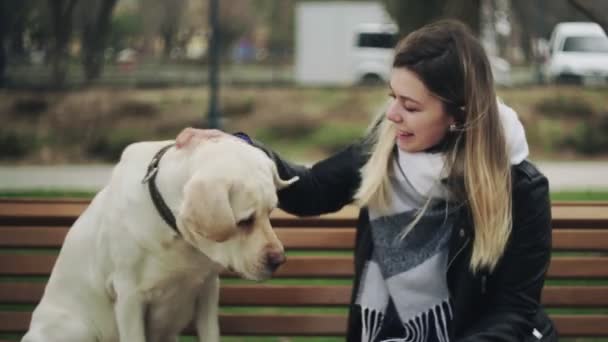 Atractiva mujer se sienta con retriever labrador perro feliz en el banco en el parque de la ciudad — Vídeos de Stock