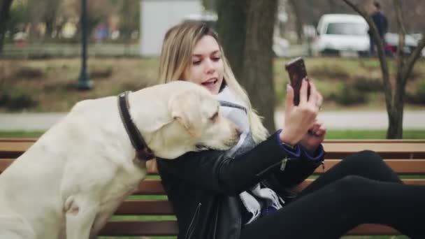 Mladá žena s retrívrem labrador pes dělá selfie na lavičce v parku. — Stock video