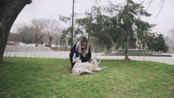 Attrayant femme rayures labrador chiens ventre dans le parc — Video