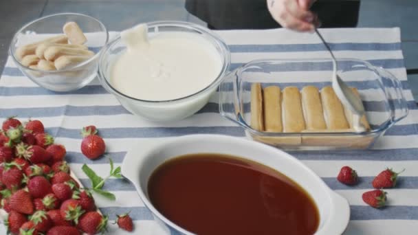 El chef profesional está cocinando pastel de tiramisú. Joven ama de casa atractiva pone crema blanca en tiramisú — Vídeos de Stock