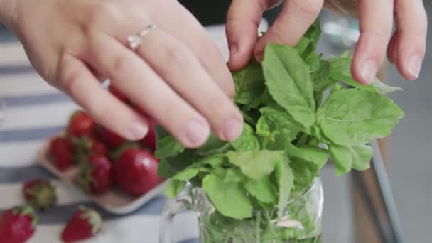 Koki profesional memasak tiramisu cake. Menutup air mata wanita dari daun mint ke tempat di atas indah tiramisu kue — Stok Video