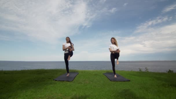 Dos mujeres en ropa deportiva practican yoga haciendo pose de árbol Vrksasana Vriksasana de pie en el borde de la costa cerca del lago — Vídeos de Stock