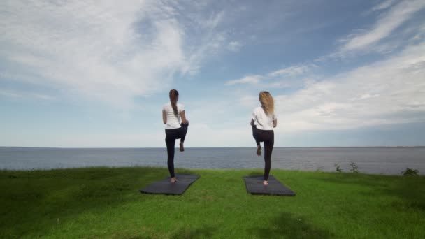 Dos mujeres jóvenes practican yoga en la playa junto al mar u ocea. Árbol de entrenamiento pose . — Vídeo de stock