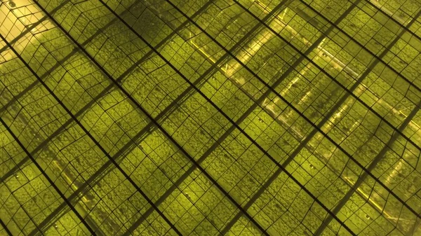 Seranın üstünde ya da üstünde havadan çekim