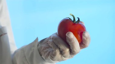 Bilim adamı domatese şırınga enjekte etti