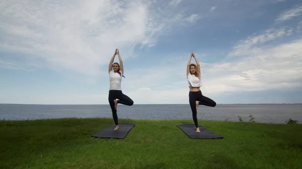 Duas mulheres em activewear praticam ioga fazendo pose de árvore Vrksasana Vriksasana de pé no tapete na borda da costa perto do mar — Fotografia de Stock