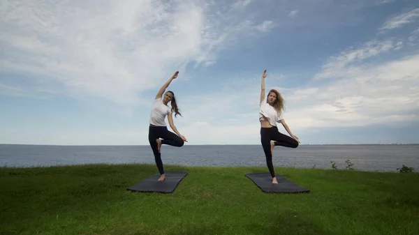 Duas mulheres em activewear praticam ioga fazendo pose de árvore Vrksasana Vriksasana de pé na borda da costa perto do lago — Fotografia de Stock