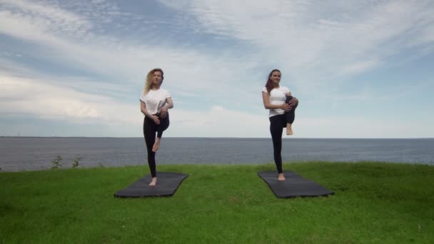 Dos mujeres practican la postura de yoga en el árbol junto al mar — Vídeos de Stock