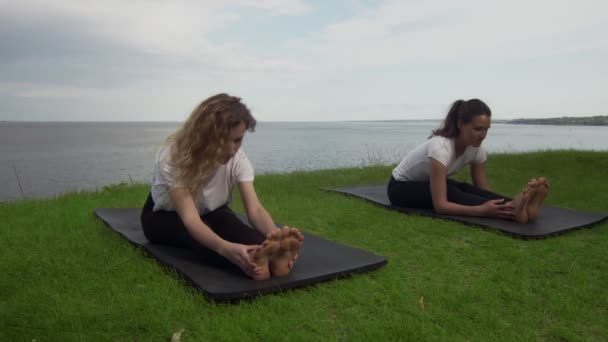 Duas mulheres jovens praticam ioga na costa perto do lago ou do mar. Formação para cima postura prancha . — Vídeo de Stock