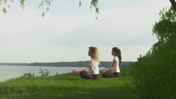 两个健康的年轻女子在湖边或海边练瑜伽的侧视图。女人坐着摆姿势沉思 — 图库视频影像