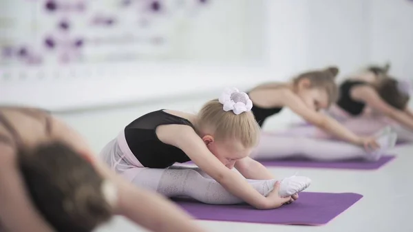 Lindas bailarinas que se estiran juntas en la escuela de baile. Adorable niña haciendo ejercicio en la escuela de baile, estirándose antes de practicar ballet. Niños, concepto de disciplina —  Fotos de Stock