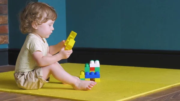 Кудрявая девчонка строит игрушечные кирпичи — стоковое фото