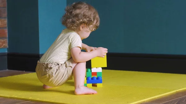 Lockig flicka gör konstruktion av leksak tegelstenar — Stockfoto