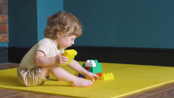Curly menina está fazendo construção de tijolos de brinquedo — Fotografia de Stock