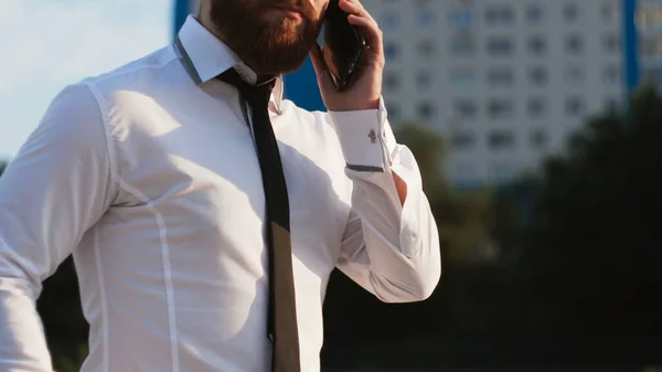 Businessman speaking on mobile telephone at summer park — Stock Photo, Image