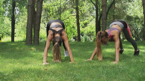 Две девушки, делающие позу для йоги, лицом к собаке — стоковое фото
