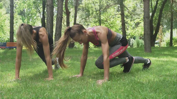 Две девушки, делающие позу для йоги, лицом к собаке — стоковое фото