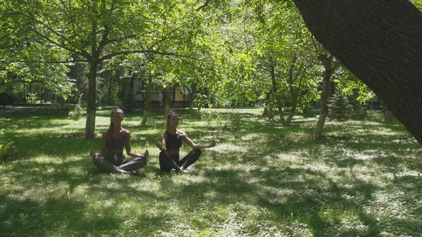 Slide shot de mulheres estão sentadas na posição de lótus e meditando no prado verde no parque — Fotografia de Stock