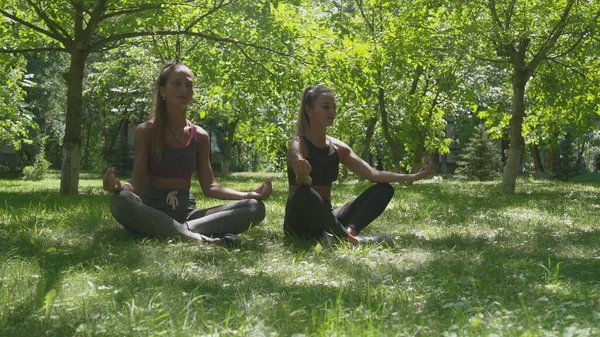 As mulheres estão sentadas na posição de lótus e meditando no prado verde no parque — Fotografia de Stock