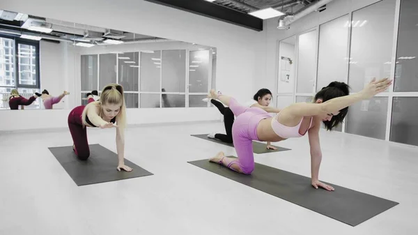 Pretty yogini γυναίκες κάνουν ασκήσεις στο γυμναστήριο στούντιο — Φωτογραφία Αρχείου