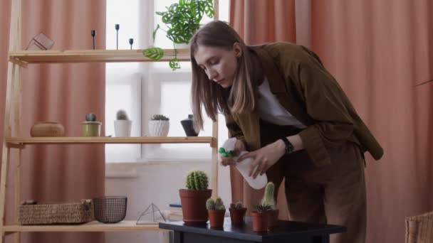 Молодая флористка использует опрыскиватель, чтобы поливать свои маленькие кактусы дома — стоковое видео