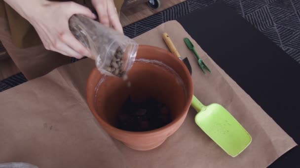 Mulher está enchendo vaso de flores de cerâmica com um substrato para o plantio de plantas interiores. Vista de cima. Trabalhos preparatórios. — Vídeo de Stock