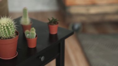 Kadın su kaktüsleri komodinin üzerinde Dolly hareket