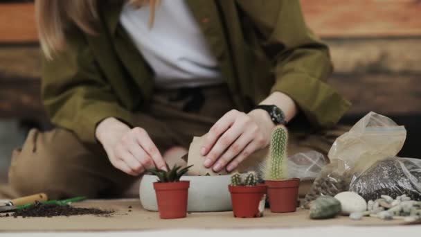 Sluitdup van vrouwen handen tuinier giet de grond met een schop in een nieuwe keramische pot voor het transplanteren van kamerplant op de vloer in de woonkamer thuis. — Stockvideo