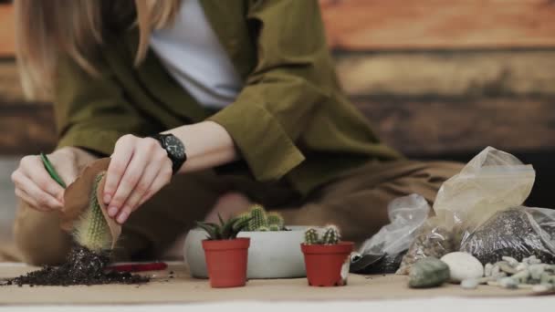 Sluitdup van vrouwen handen tuinier giet de grond met een schop in een nieuwe keramische pot voor het transplanteren van kamerplant op de vloer in de woonkamer thuis. — Stockvideo