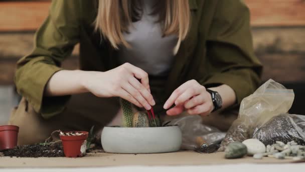 Fecho de mulheres mãos jardineiro derrama o solo com uma pá em um novo pote de cerâmica para transplantar planta de sala no chão na sala de estar em casa. — Vídeo de Stock