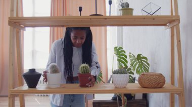 Genç Afrikalı Amerikalı kadın raftaki yeni kaktüslere bakıyor.