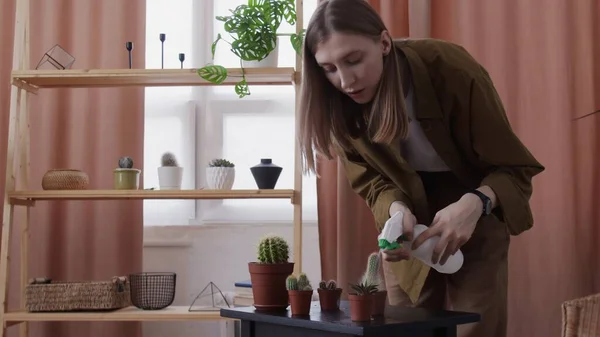 Young female florist uses sprayer to watering her little cactuses at home — Stock Photo, Image