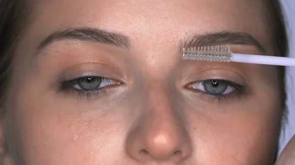 Makro makyaj sanatçısı genç bir kadının makyajını yapıyor. Makyaj sanatçısı kaşlar için fırça kullanır