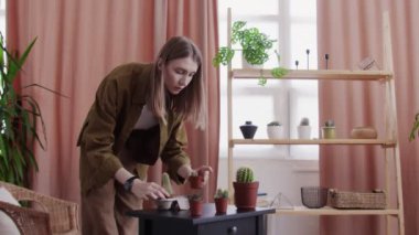 Genç bayan çiçekçi evde kaktüslerini suluyor.