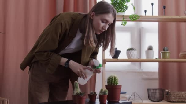 Mladá žena květinářství používá rozprašovač na zalévání své malé kaktusy doma — Stock video