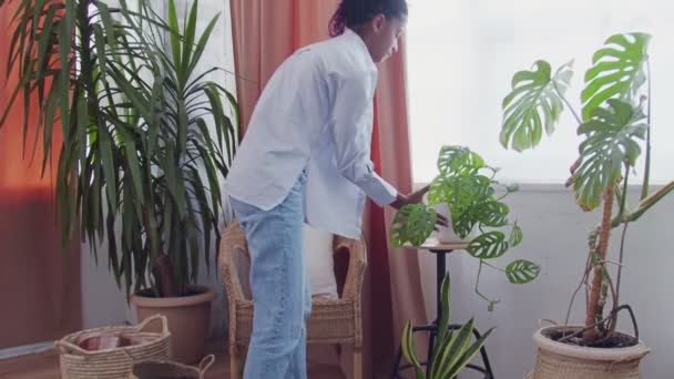 Mladý africký americký žena watering houseplants doma — Stock video