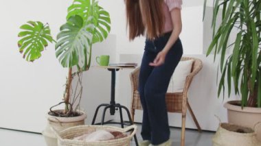 Evindeki oturma odasında kitap okuyan güzel bir kadın. Ev bitkilerinin yanında oturan rahat genç bir kadın.