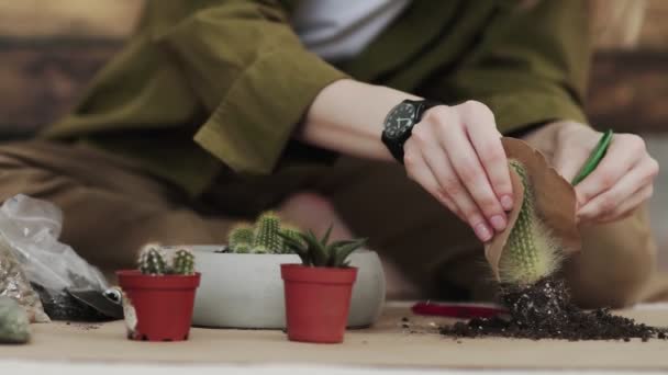 女园丁用铲子把土倒进一个新的瓷壶里，以便在家里客厅的地板上种植室内盆栽. — 图库视频影像