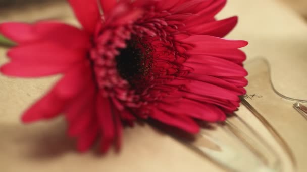 Male florist putts uses pencil on kraft paper. Red gerbera on kraft papers — Stock Video