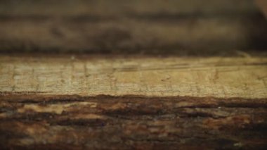 Adam ahşap masaya el işi kağıt koyuyor.