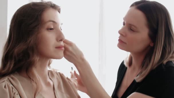 Maquiagem artista penteia as sobrancelhas modelos com uma escova de sobrancelha especial — Vídeo de Stock